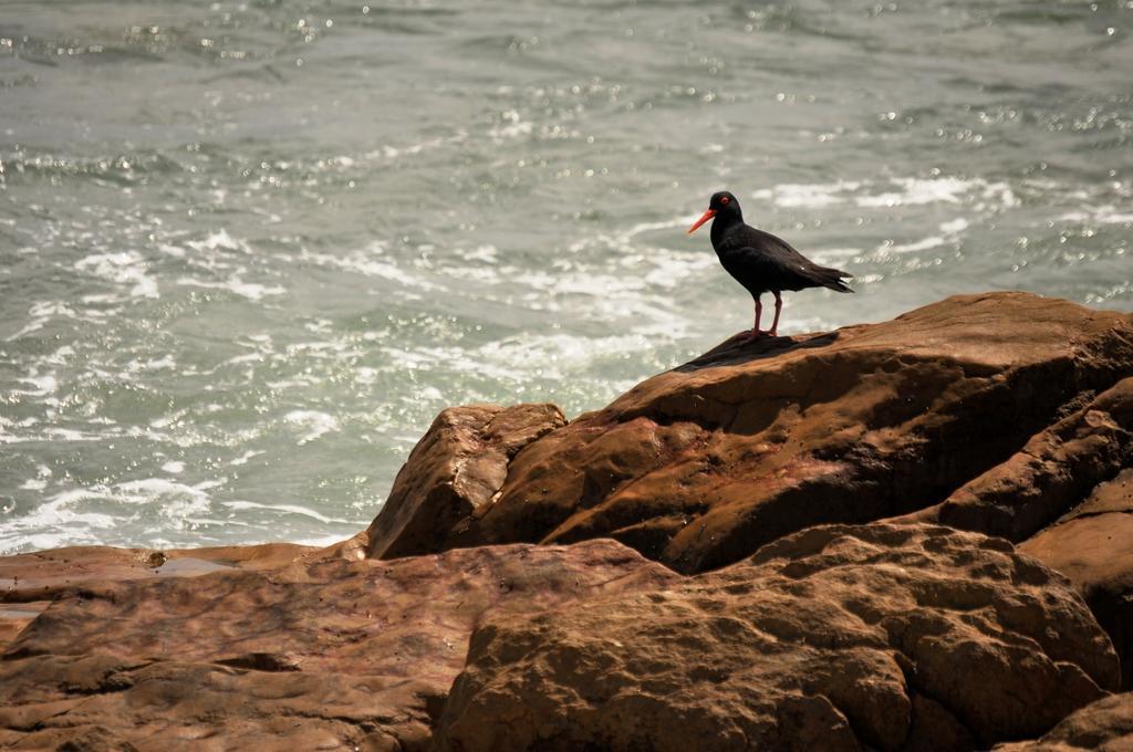 Sandpiper Cottages Boggomsbaai Buitenkant foto