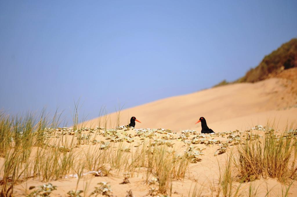 Sandpiper Cottages Boggomsbaai Buitenkant foto