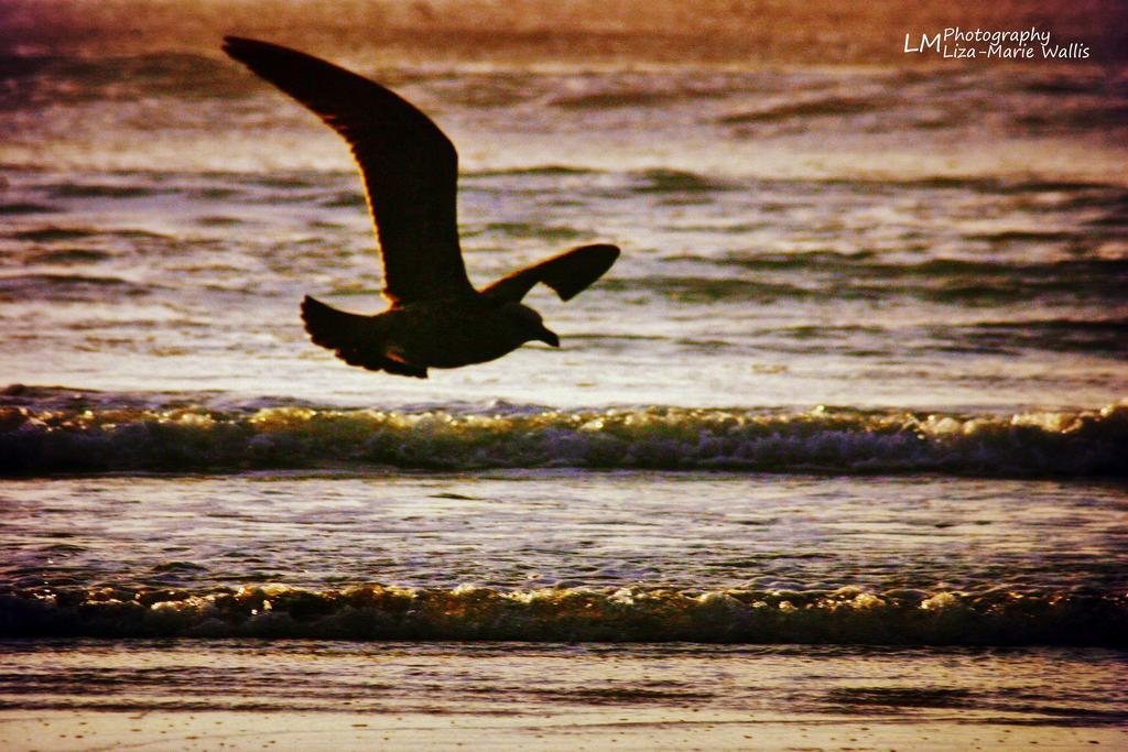 Sandpiper Cottages Boggomsbaai Buitenkant foto