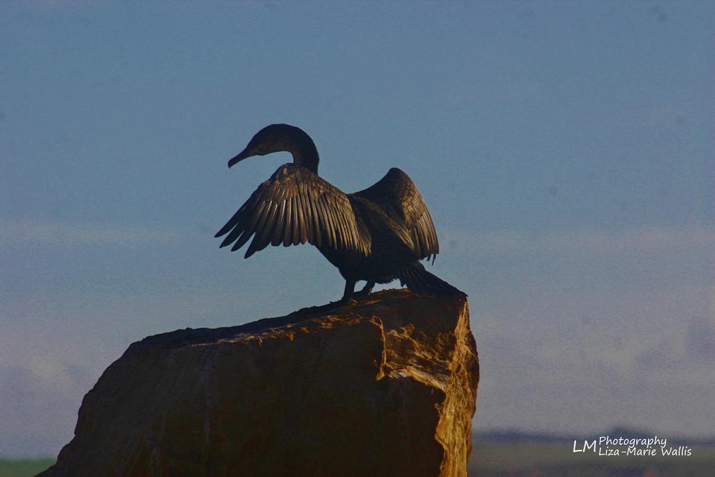 Sandpiper Cottages Boggomsbaai Buitenkant foto